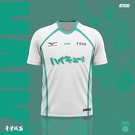 (Customizable) EvoNova Custom Name and Number HAIKYUU!! (AOBA JOHSAI) JERSEY SHORT SLEEVE FANS EDITI