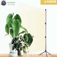 [Ruiguang Plant Light] Three-Stage Vertical Double Row Adjustable Full Spectrum Light PRO Foliage St