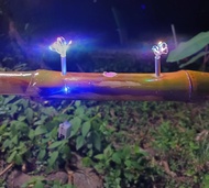 Pelita Raya Buluh Solar / Pelita Buluh LED 3modes / PELITA BULUH KLASIK Lampu pelita 3w flicker bulb