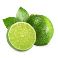 limau nipis besar tak ada biji 1 kg,Key lime without seeds 1 kg