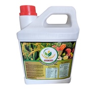 HAO PLUS 4 Liter Baja / Baja Silika