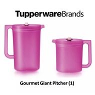 Gormet Pitcher Tupperware