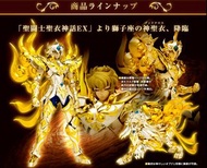 Toyseco 現貨 聖衣神話EX 獅子座神聖衣