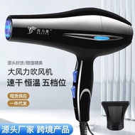 [Good Luck Store]Professional Hair Dryer Cold and Warm Wind Drying Hair[The button is blue] GZO3