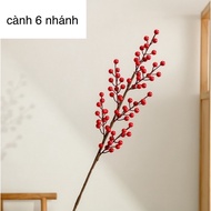 Red winter peach branches (6 branches)