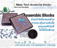 VJ island🐠ใส่ตู้ปลา Nano-Tech Anaerobic Blocks จากค่าย Maxspect ตัวเร่งปฎิกิริยาสำหรับแบคทีเรีย