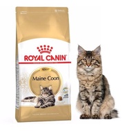 RC ADULT MAINE COON 4 KG