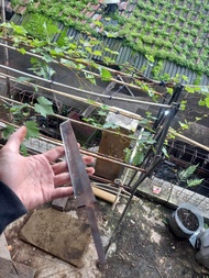 bilah mentahan pisau tanto