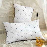 Pillow insert 50x70cm - 2 pieces