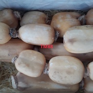 AKAR TERATAI/LOTUS ROOT KUALITAS PREMIUM