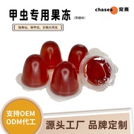 Brown Candy Frozen Beetle Insect Snacks Unicorn Stag Beetle Special Beetle Feed 20 Pcs Insect Food P
