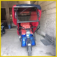 ┇ ㍿ § E-BIKE 3 wheels COVER (WATER REPELLANT)