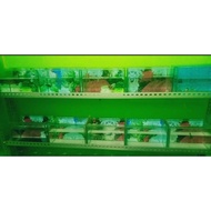 Minimalist Aquarium + Background size 25x15x15