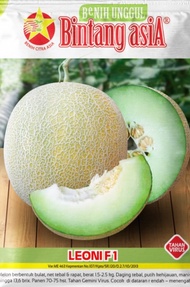 3 biji benih ROCK MELON seeds manis crunchy