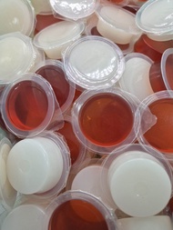 Beetle Jelly for Beetles Isopods & Ants