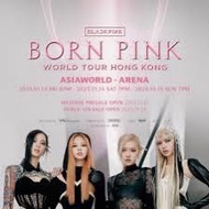 (已賣)單張BLACKPINK 頭場$1499演唱會門票