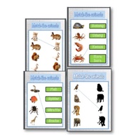 PRINTABLE REAL ANIMALS (4ACTIVITIES).