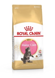 Royal Canin Kitten Mainecoon 4kg - Makanan Anak Kucing Ras Mainecoon