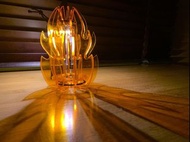 [日本直送] Goal zero 燈罩 露營 戶外 GZ 露營燈罩 Goalzero flash