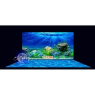 3d painting. stickers for aquariums, arowana fish tanks (back painting)