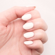 Aquajellie Sand Dollar