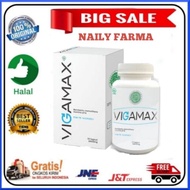 VIGAMAX ASLI ORIGINAL HERBAL STAMINA PRIA