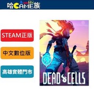 [哈Game族]STEAM正版 PC 死亡細胞 Dead Cells 中文數位版 線上遊戲模式 類銀河戰士惡魔城動作遊戲