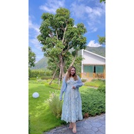 Dress + Coat For Chubby Women