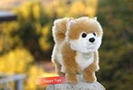 JUAL Boneka Anjing Mini Pom