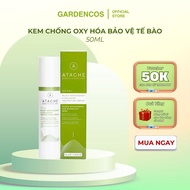 OXY Atache Blast Antioxidant & Cellular Protection Cellular Protection Antioxidant Cream 50ml - Gard