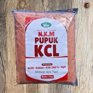 NKM KCL 1 KG/ Pupuk kcl serbuk/ Pupuk tanaman/ Kalium Tinggi Untuk Mempercepat Umbi Buah Menjadi Besar/ Natrium/ Kalium Tinggi/ Magnesium/ Kcl mahkota/ kcl been sae/pupuk sayuran/pupuk pertanian/pupuk cabe tomat/ kalium CHLORIDA/ nkcl / pupuk serbuk