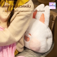 Video Blanket Pillow Doll 1 Set Gets 2 Pieces Very Cute The Large Size Is Really Usable. Give As A G