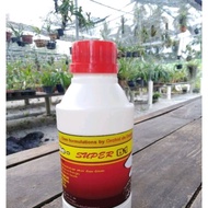 Foodie Super B1 - Roots booster