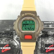 Casio G-Shock Retro Fashion Vintage Color Series DW-6600PC-5