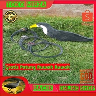 Jerat ruak ruak Racik ruak Hanging. Free pikat/jontrot statue