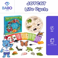 Joycat SMZQ001 Educational Life Cycle Equipment Living Cycle Animal Life Cycle Toy Animal Life Cycle