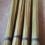 Super Palm Tree Broom New Palm Tree Broom