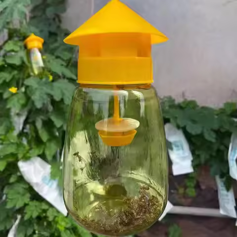 Fruit Fly Trap Killer Yellow Plastic Drosophila Trap Anti Fly Fruit Fly Killer Catcher Orchard Insec