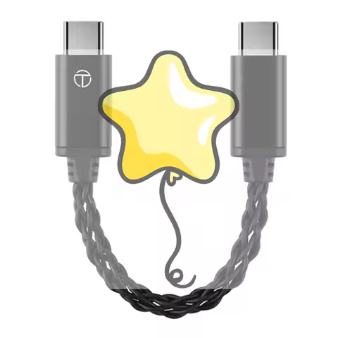 TRN TO Type C To Type C DAC Amp Upgrade Cable Hifi Adapter Earphone Amplifier 8Strand Silver-Plated 