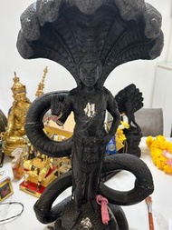 澤度金 供奉型 阿贊/周冠速