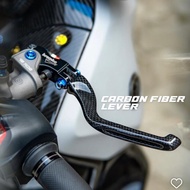 AEM FACTORY Carbon Fiber Foldable Lever For RCS MASTER PUMP BREMBO PLUG N PLAY RCS LEVER CARBON