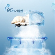 Goodhealth Oyster Australian Version Oyster Zinc Supplement Capsule Essence Plus New Zealand Male Im