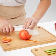 Germany Zwilling bamboo chopping board home kitchen large chopping board cutting board case board pa