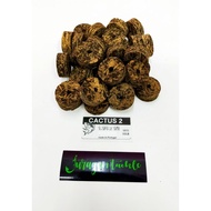 PORTUGAL CORK CACTUS 2 (MADE IN PORTUGAL)