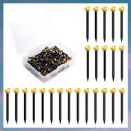 (XCTS) 70 PCS Small Hanging Nails Picture Nails Flat-Head Fasteners for Frames Hanging Frame for Woo