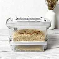 [nlkgeqgn6] Crickets Breeding Case Transparent House Animal Transport Small Roach Clear Terrarium Ha