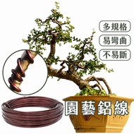 Shopee Hottest Style Aluminum Wire 100g Invoice Ready Stock Gardening Aluminum Wire Staghorn Fern Up