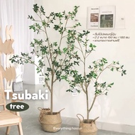 🌱𝙏𝙨𝙪𝙗𝙖𝙠𝙞 𝙩𝙧𝙚𝙚  ต้นไม้ปลอม Tsubaki ต้นไม้แต่งห้อง ต้นไม้ปลอมสไตล์มินิมอล🪴
