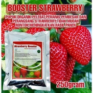 Pupuk Strawberry Booster Organik Pelebat Perangsang Percepat Buah Strawberry 250gr