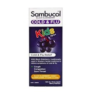 Sambucol - 兒童 黑接骨木抗感冒 潤喉糖漿 120ml (平行進口)